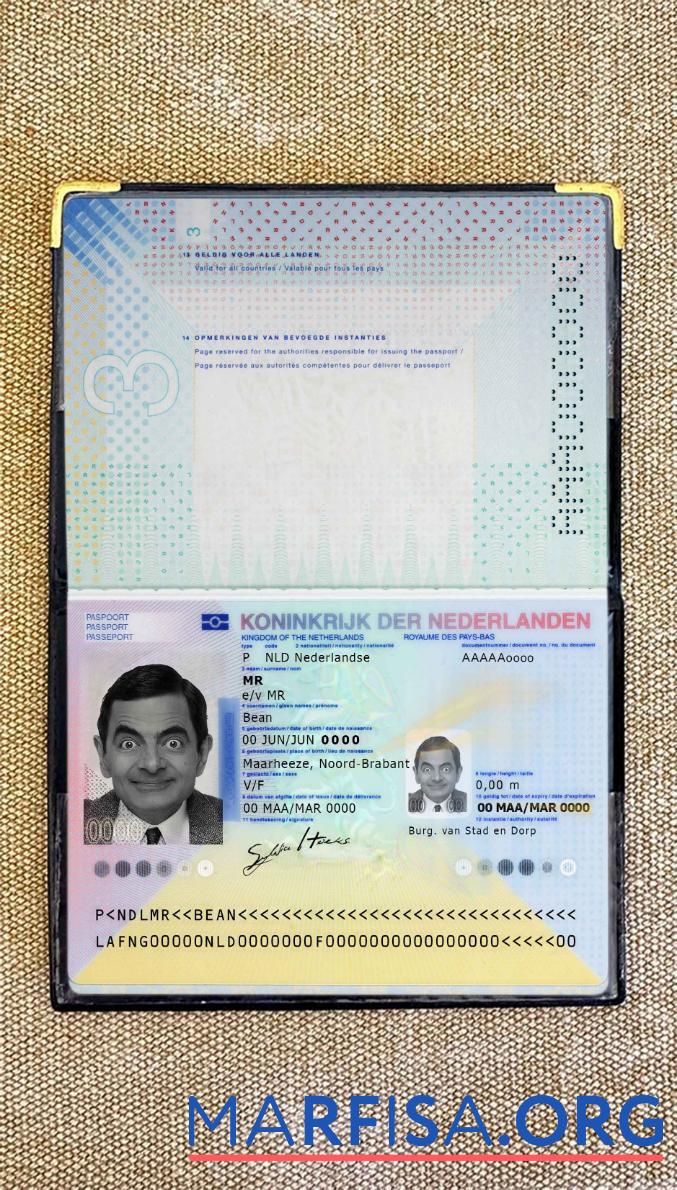 Printable Netherlands passport (2014 present) photo look example